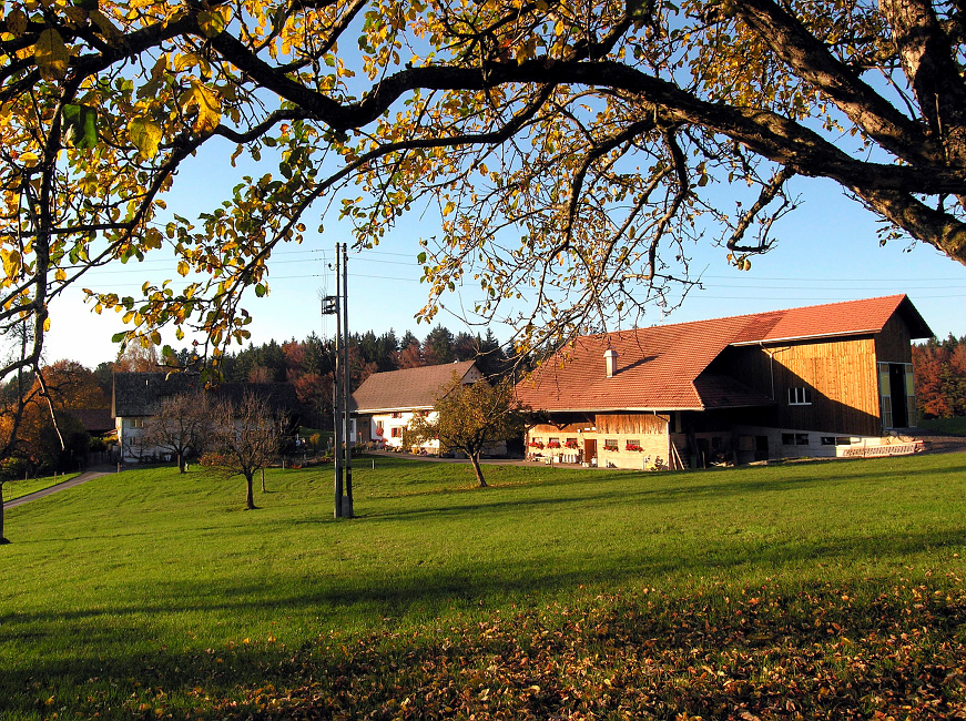 Aussenhöfe